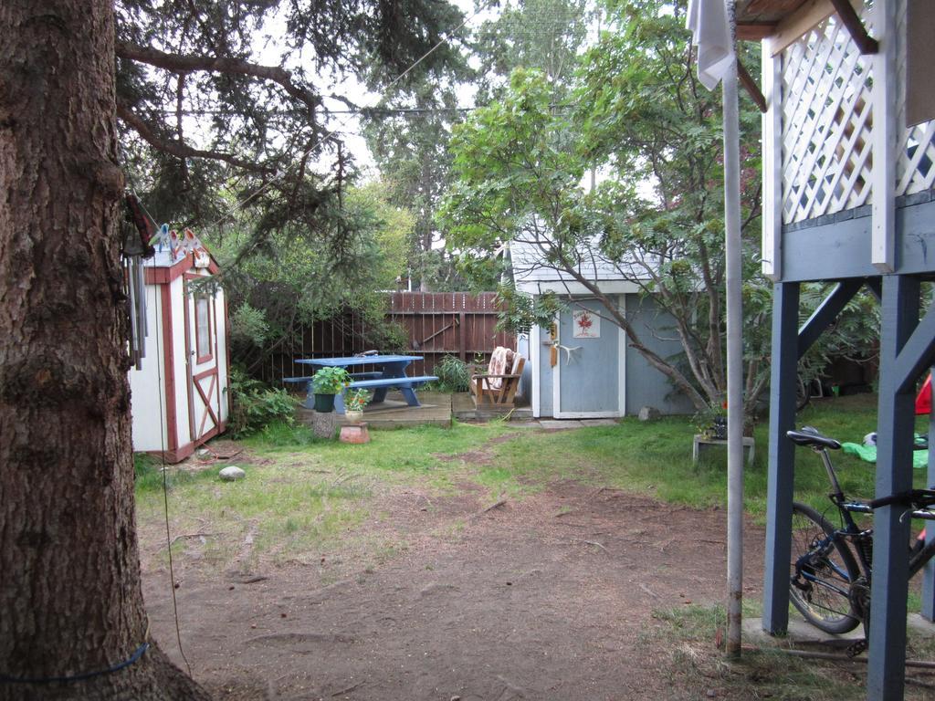 A Pousada Beez Kneez Bakpakers Whitehorse Exterior foto