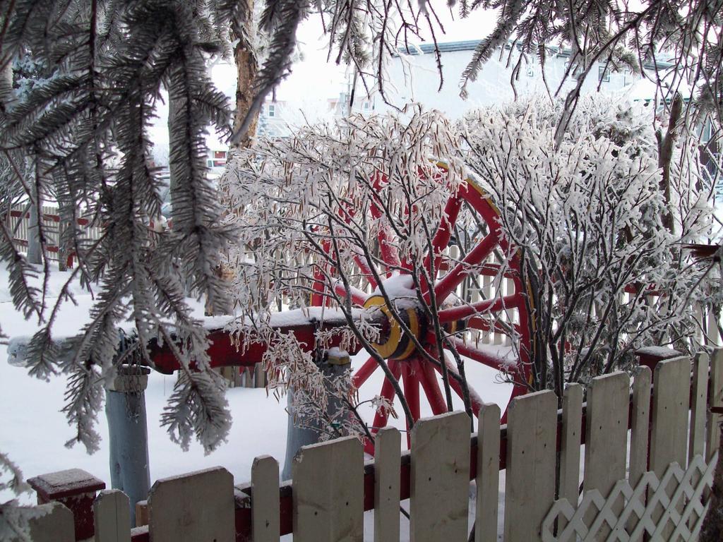 A Pousada Beez Kneez Bakpakers Whitehorse Exterior foto